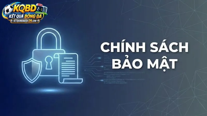 Các Loại Dữ Liệu Được Thu Thập Và Mục Đích Sử Dụng
