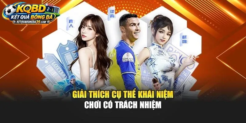 Trách Nhiệm Của Nền Tảng Và Cộng Đồng Người Hâm Mộ