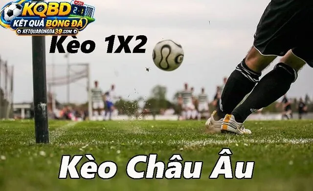 Ưu Điểm Công Nghệ Và Trải Nghiệm Người Dùng