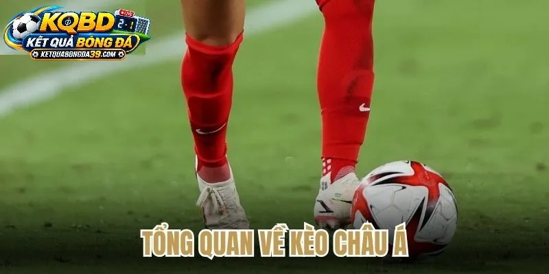 Ưu Điểm Công Nghệ Và Trải Nghiệm Người Dùng